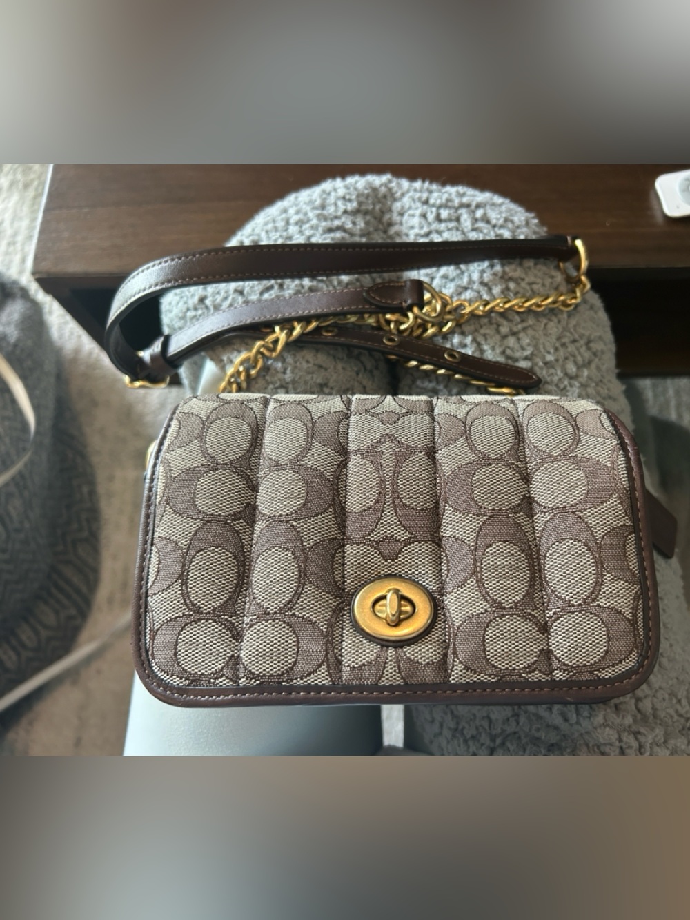 Classic Women's Chain Shoulder Bag in Dark Brown